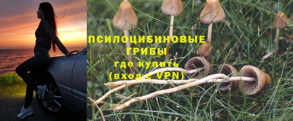 дурь Алзамай